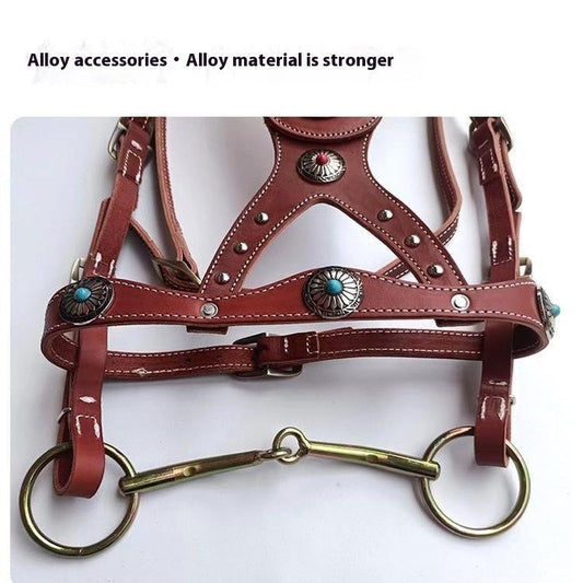 Horse Halter Pure Cowhide Equipment Dragon Cover Metal Buckle Elegant