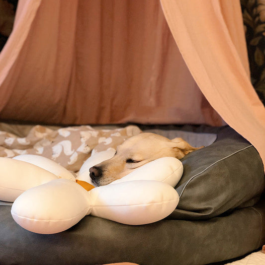 Pet Tent Cats And Dogs Safe House All Seasons Universal Washable