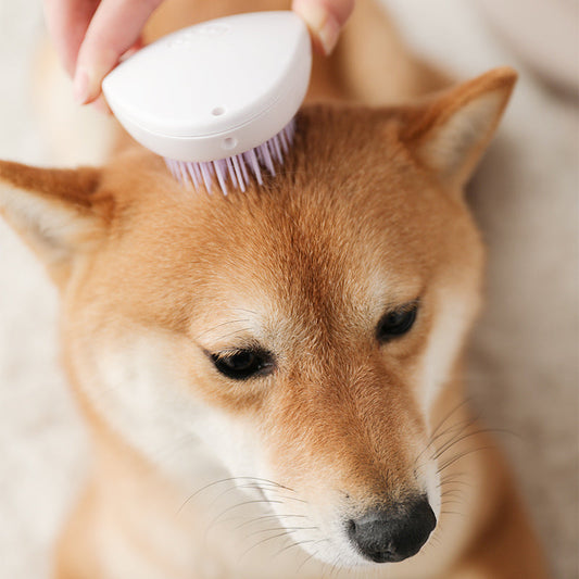 One-key Hair Removal Cat Hair Cleaner Dog Hair Comb