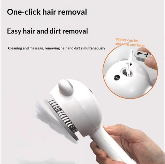 Spray Massage Steam Comb Brush Cleansing Brush