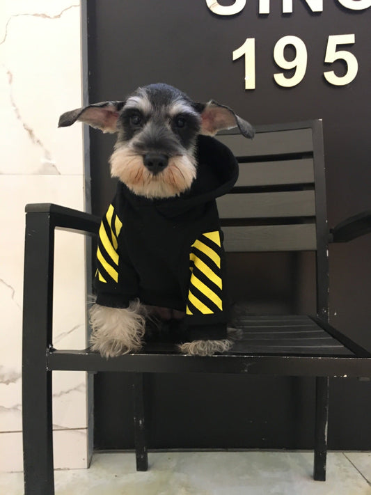 Fleecy puppy sweater