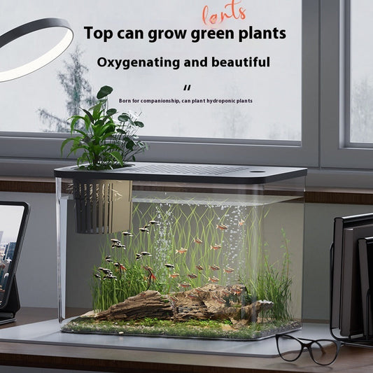 Ecological Betta Tank Living Room Mini Size Home