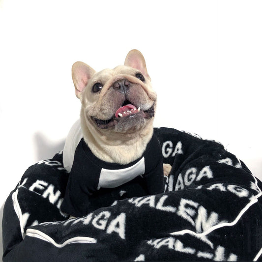 French Schnauzer Corgi Mat Kennel For All Seasons