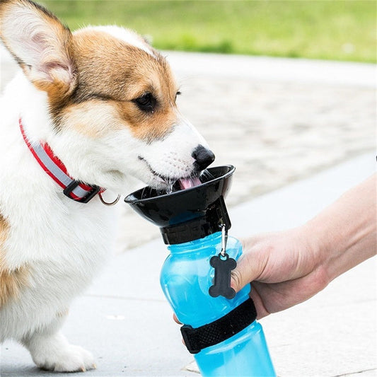 KFX-2267837 Portable Pet Drinking Cup – Lightweight Water Bottle for Outdoor Use, 21.5cm - Ideal for Hydrating Pets on the Go
