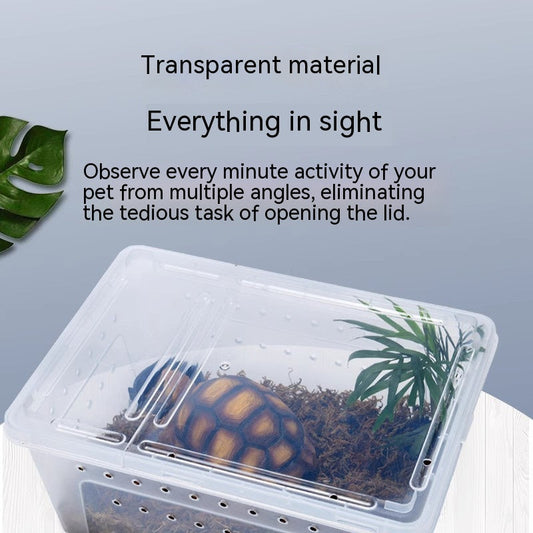 KFX-3182781 Transparent Silkworm Feeding Jar for Box Turtles – Available in Small, Medium, Large Sizes