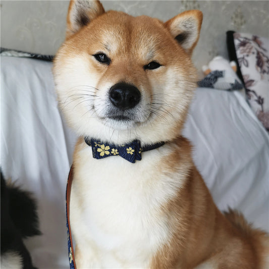 KFX-3692861 Adjustable Leather Pet Collar and Leash Set - Blue Triangle Scarf and Bow Design