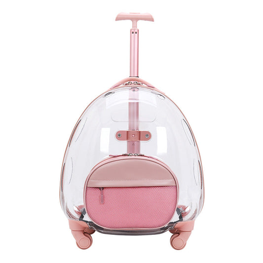 KFX-4463677 Transparent Travel Pet Suitcase for Dogs and Cats, Medium Soft PVC, Capacity 12.50kg