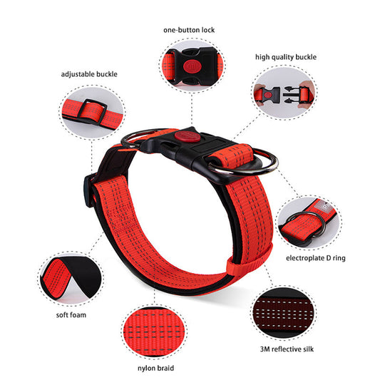 KFX-4600253 Collared Dog Leash Set for Small, Medium, and Large Dogs in Vibrant Colors