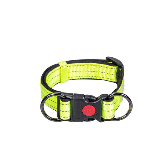 KFX-4600253 Collared Dog Leash Set for Small, Medium, and Large Dogs in Vibrant Colors