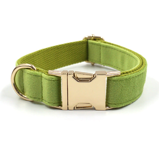 KFX-4796861 Green Velvet Dog Collar with Gold Buckle - Sizes XS to XL