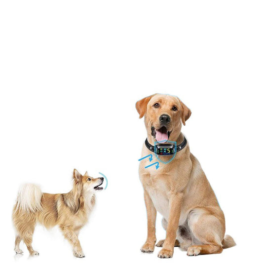 KFX-4895165 Automatic Anti-Bark Device with Remote Control and Electric Shock Collar for Dog Training