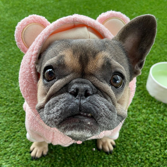 KFX-5052349 Warm & Cozy Ear-Standing Fleece-Lined Pet Sweater in Brown and Pink, Sizes M-2XL