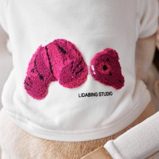 KFX-5085117 Parent-Child Winter Bear Sweater in Coral Fleece for Dogs