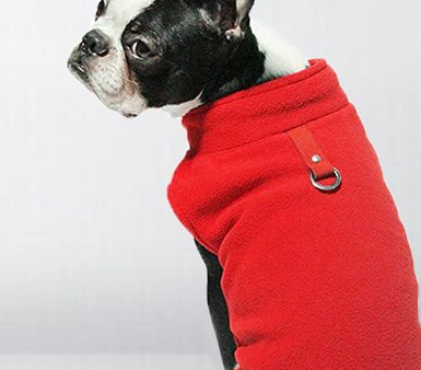 KFX-5543869 Fluffy Polar Fleece Dog Hoodie - Warm Solid Color Sweater for Small to Medium Dogs