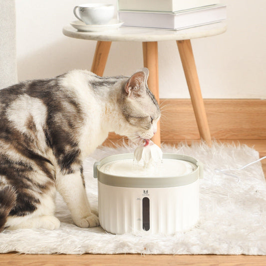 KFX-6101693 Automatic Cat Water Dispenser with Removable Filter and Power Cut Protection