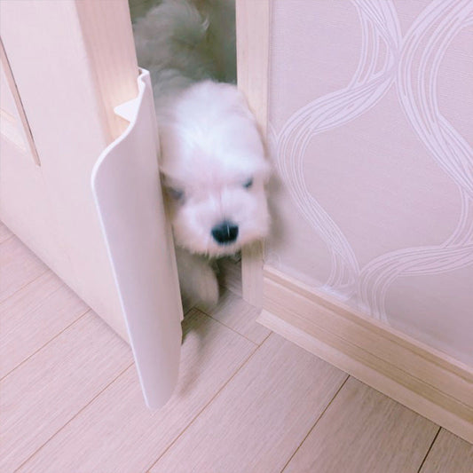 KFX-6171325 Pet Self-Opening Auxiliary Door - White Plastic Door for Pets, Automatic Closing Feature