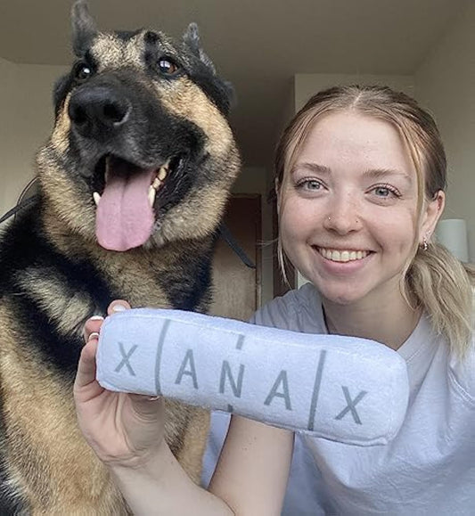 KFX-6315197 Plush Squeaky Crinkle Dog Toy for All Breeds – Durable, Fun and Entertaining 8-Inch Playtime Companion