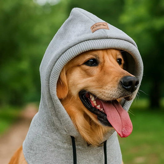 KFX-6736317 Doggy Casual Noise-Blocking Earflap Hat for Dogs - Available in Gray, Green, and Black, Sizes S, M, L