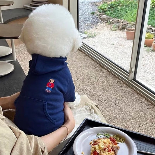 KFX-6756285 Casual Cartoon Bear Satchel Sweater for Dogs - Dark Blue, Gray, Yellow, Red, Pure White - Sizes XS to XL