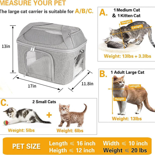 KFX-7281725 Breathable Portable Dog and Cat Backpack Carrier Bag with Stiff Base and Frame