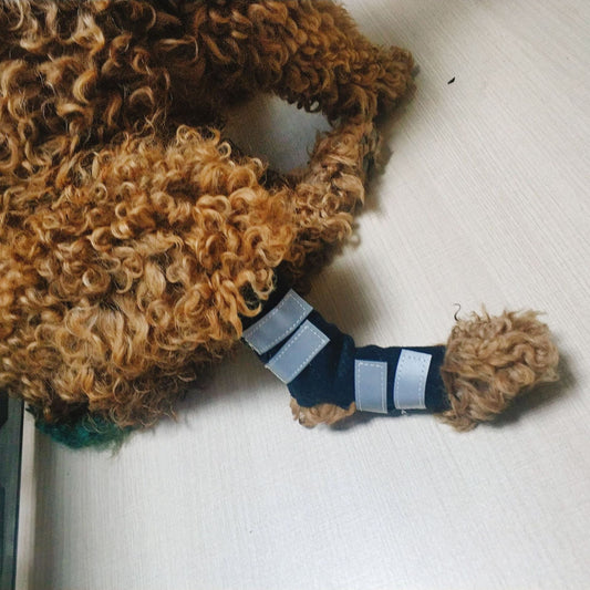 KFX-7726013 Glow-in-the-Dark Dog Knee Brace for Injury Recovery - Black Nylon with Reflective Velcro