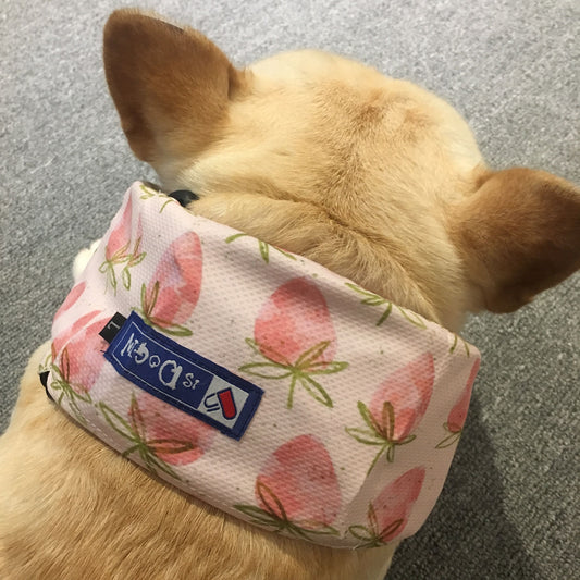 KFX-8116541 Cooling Scarf for Dogs - Heat Relief with Multiple Ice Pack Options in Various Colors