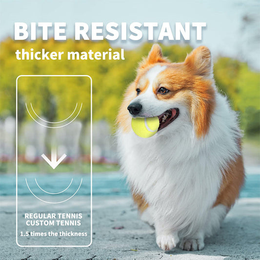 KFX-8576189 Automatic Electric Mini Tennis Throwing Machine for Pets - Lightweight and USB-Powered