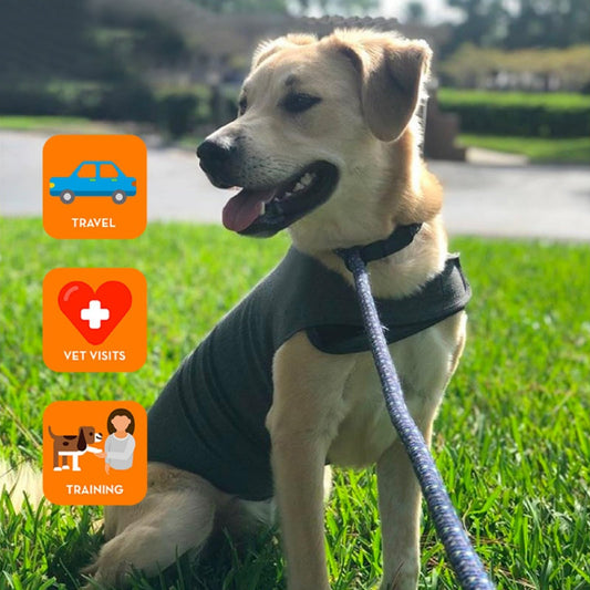 Fashion Dog Clothes Warm Vest