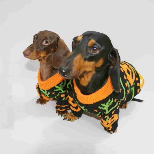 Dog Cat Pet Clothes Warm Pumpkin Color Matching Sweater