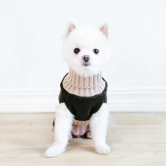 New Autumn And Winter Simple Bear Army Green Dog Sweater
