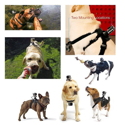 Dog Harness Chest Strap Camera Accessory For Dualuse Back On Chest