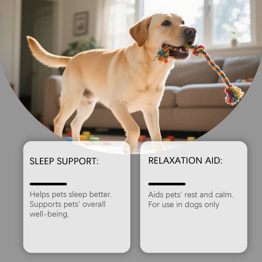 Dog Advanced Melatonin Drops