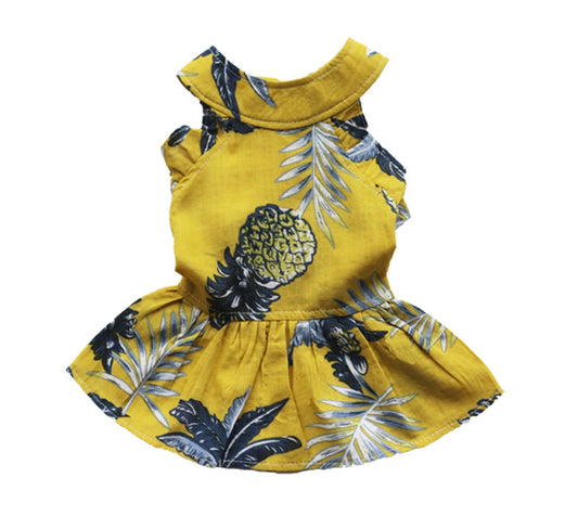 Teddy Bullfight Hiromi Cotton Princess Dress