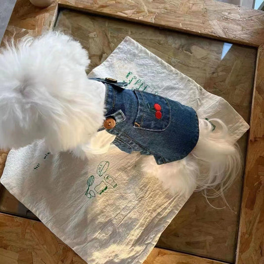 Spring And Summer Small Dog Pet Cat Denim Skirt