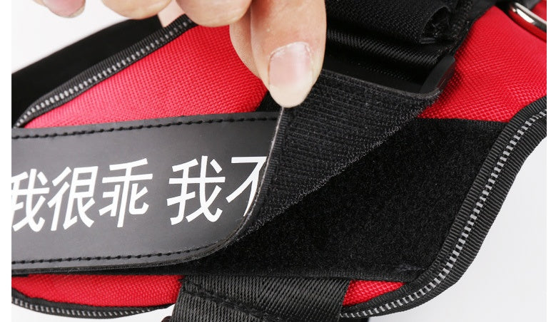 KFX-0072381 Durable Velcro Dog Name Sticker - Reusable & Washable, Multiple Sizes Available