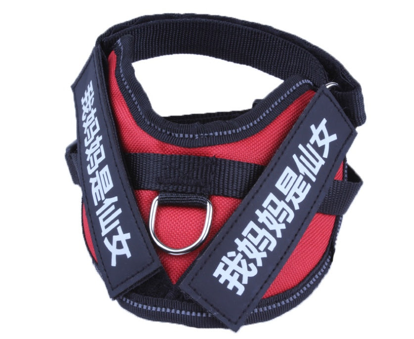 KFX-0072381 Durable Velcro Dog Name Sticker - Reusable & Washable, Multiple Sizes Available