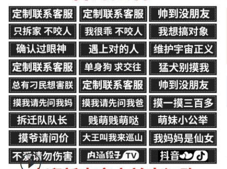 KFX-0072381 Durable Velcro Dog Name Sticker - Reusable & Washable, Multiple Sizes Available