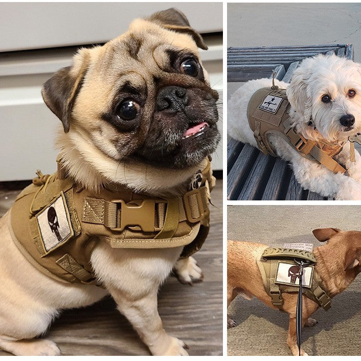 KFX-0248509 Adjustable Cat Chest Harness with Leash in Multiple Colors