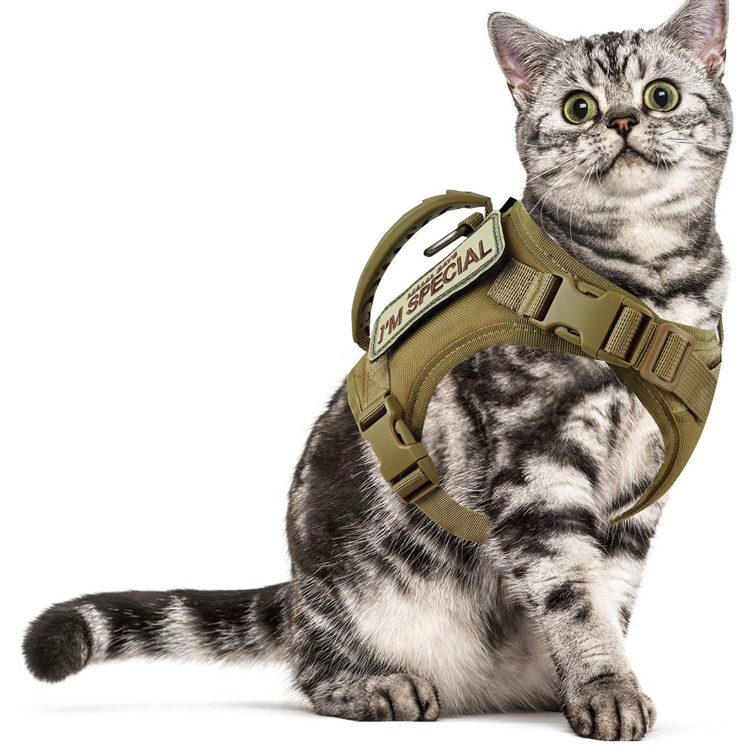 KFX-0248509 Adjustable Cat Chest Harness with Leash in Multiple Colors