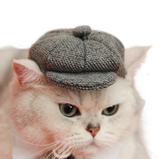 KFX-0384957 Gentleman Cat Beret and Tie Set for Stylish Adult Cats