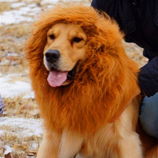 KFX-0531133 Lion Mane Costume Wig for Large Dogs - Fits Head Circumference Up to 74cm