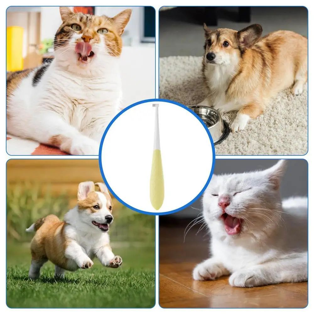 KFX-0918205 Cat and Small Dog Toothbrush with Soft Bristles and Anti-Slip Handle for Gentle Oral Care