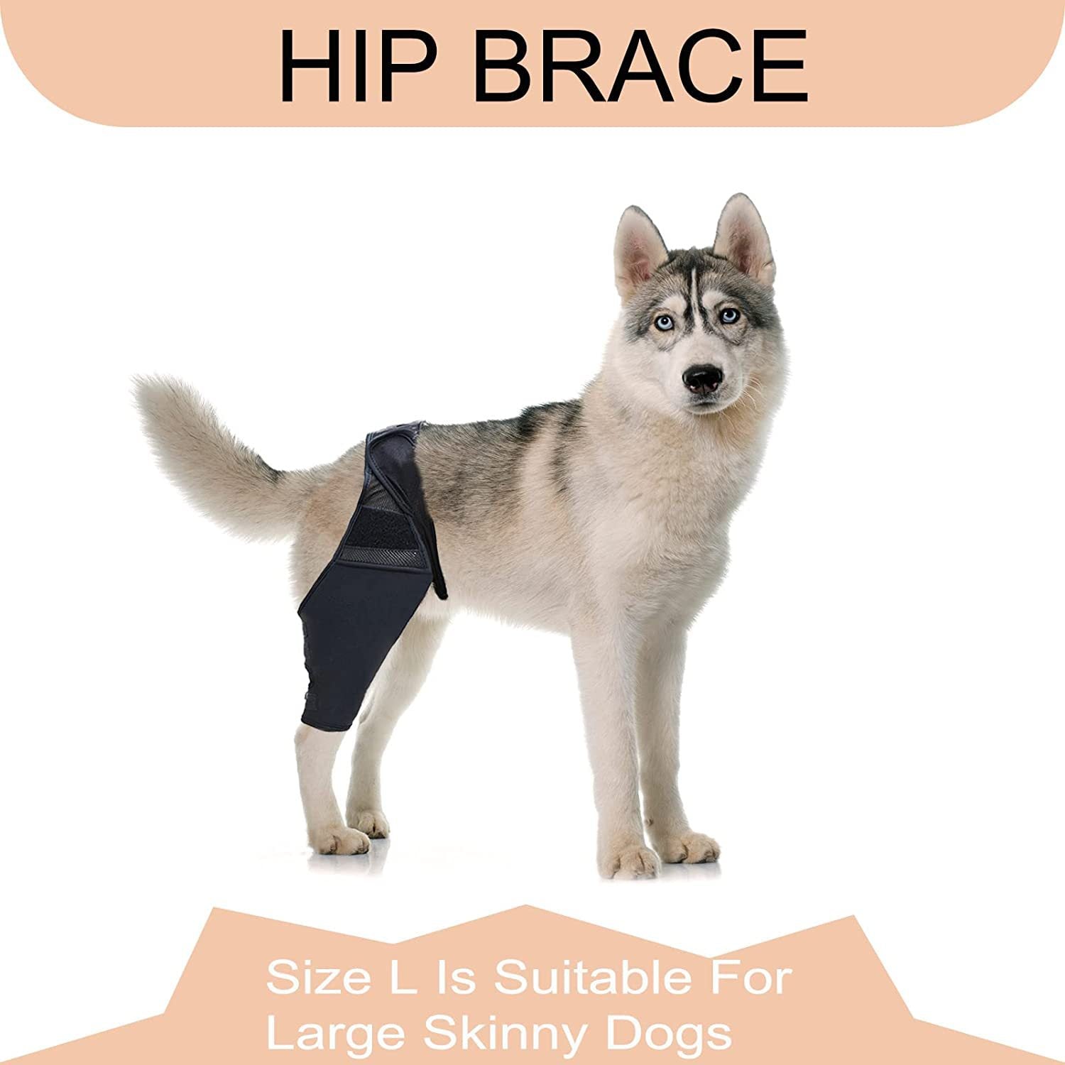 KFX-1050429 Dog Thigh Protector for Front and Rear Leg Fractures, Neoprene Fabric Mesh, Casual Design, Size S-XL, Black
