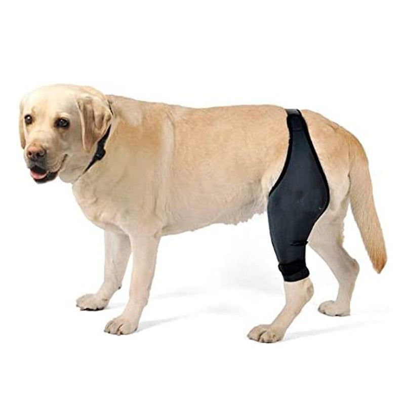 KFX-1050429 Dog Thigh Protector for Front and Rear Leg Fractures, Neoprene Fabric Mesh, Casual Design, Size S-XL, Black