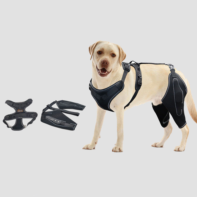 KFX-1133245 Acl Knee Pad for Joint Pain Relief in Hip Dysplasia, Adjustable Protective Strap Available in M, L, XL