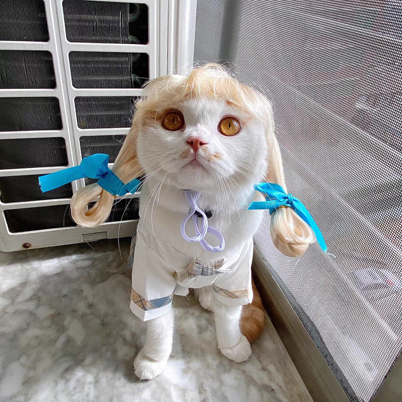 KFX-1186493 Pet Wig Sheath for Parties - Various Colors and Styles, Fits Head Circumference 30-60cm