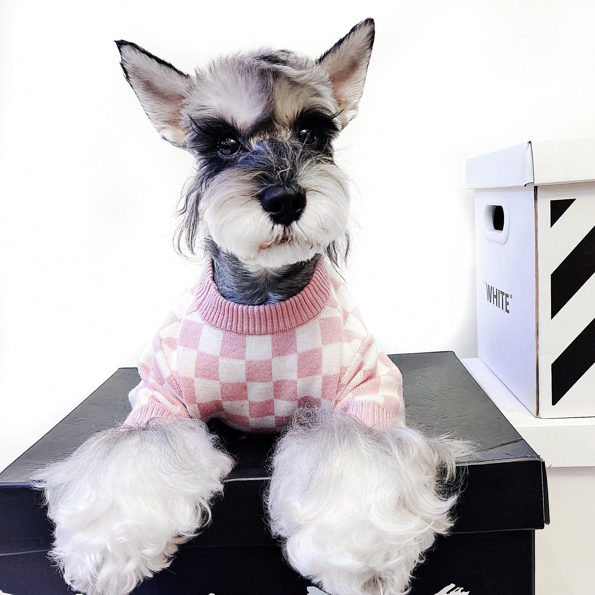 KFX-1188413 Checkerboard Wool Sweater for Dogs - Stylish and Cozy Pet Apparel