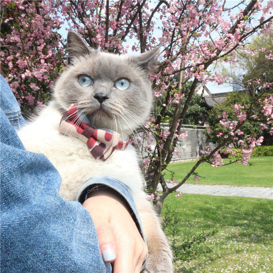 KFX-1297085 Camouflage Bowknot Pet Collar - Blue, Green, Colorful PU Material