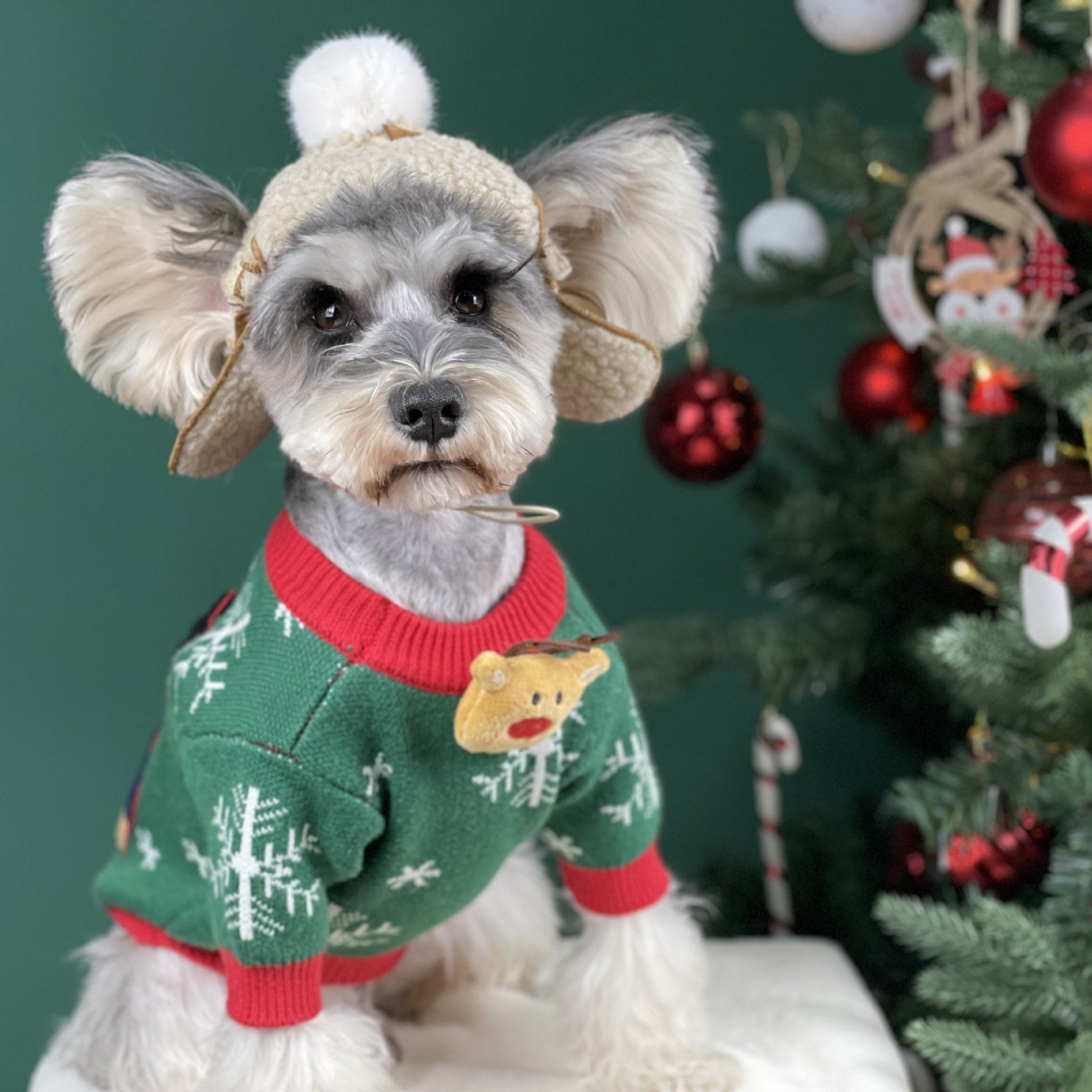 KFX-1516093 Christmas Padded Dog Sweater in Green and Red - Cozy Wool Design for Dogs
