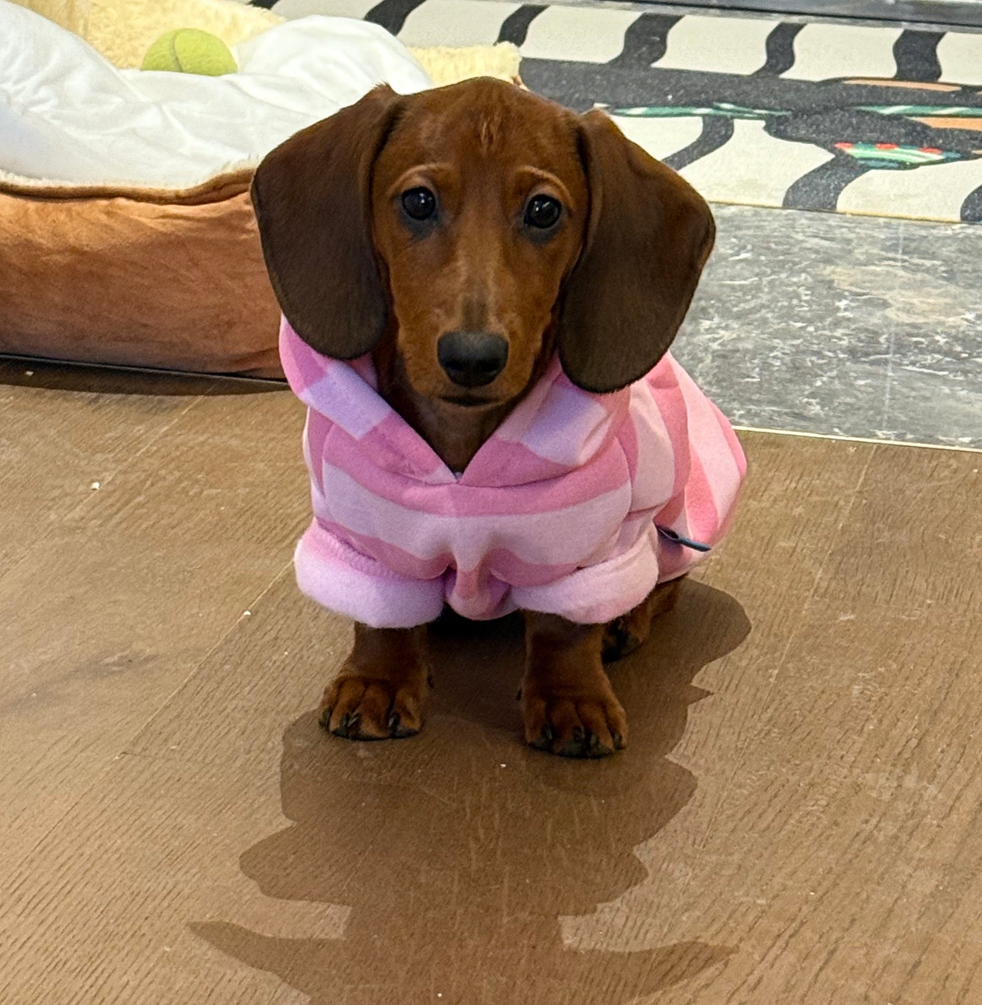 KFX-1626557 Cozy Pink Striped Hooded Sweater for Pets - Autumn and Winter Warmth